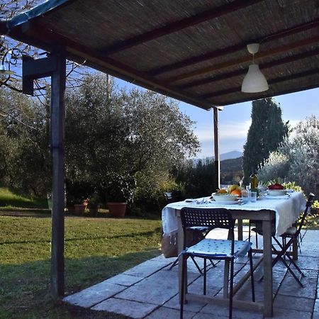 Casa Il Tiglio Villa Lucca Eksteriør billede